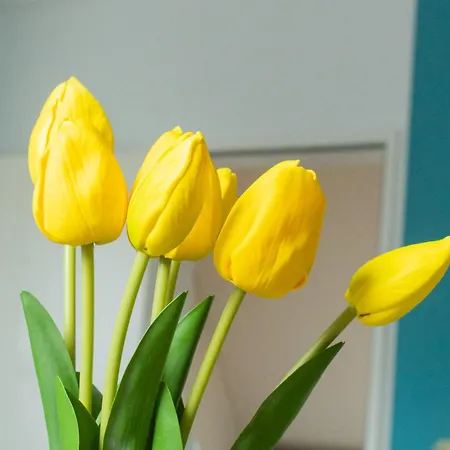 Haus Nordheimstrasse 7